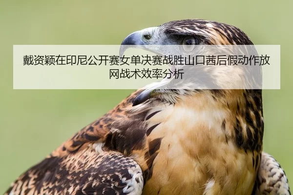 dai-zi-ying-zai-yin-ni-gong-kai-sai-nv-dan-jue-sai-zhan-sheng-shan-kou-qian-hou-jia-dong-zuo-fang-wang-zhan-shu-xiao-lv-2-664.jpg